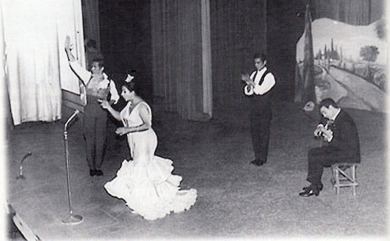 lola-flores-colaboracion-ricardo-lacasa-002