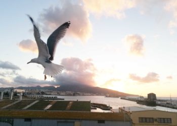 pavana-panoramica-ceuta
