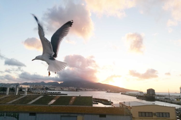 pavana-panoramica-ceuta