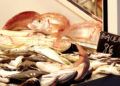 pescaderias-aduana-comercial-006