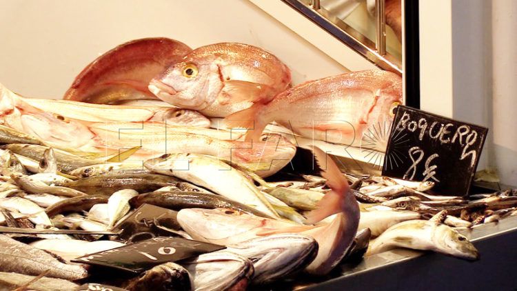 pescaderias-aduana-comercial-006