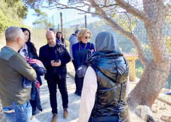 psoe-san-amaro-003