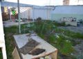 suciedad-antigua-carcel-rosales-interior-004