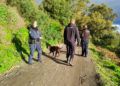 busqueda-perros-mohamed-ali-garcia-aldave-002