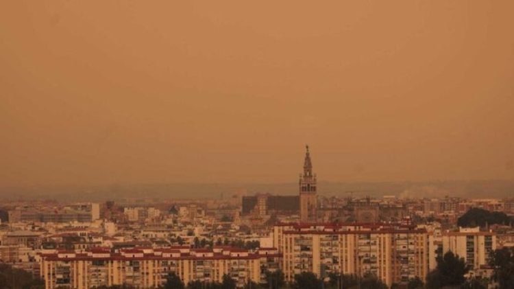 calima-sevilla-001