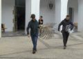 esqueleto-zifio-cuvier-campus-proyecto-gigantes-mar-013