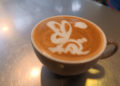 instituto-almina-curso-cafe-004