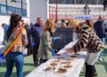 mejillona-carnaval-2023-auditorio-marina13