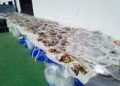 mejillona-carnaval-2023-auditorio-marina40