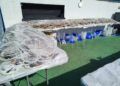 mejillona-carnaval-2023-auditorio-marina42