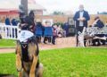 unidad-canina-Fundación-Gallardo-perro-policía-007-portada