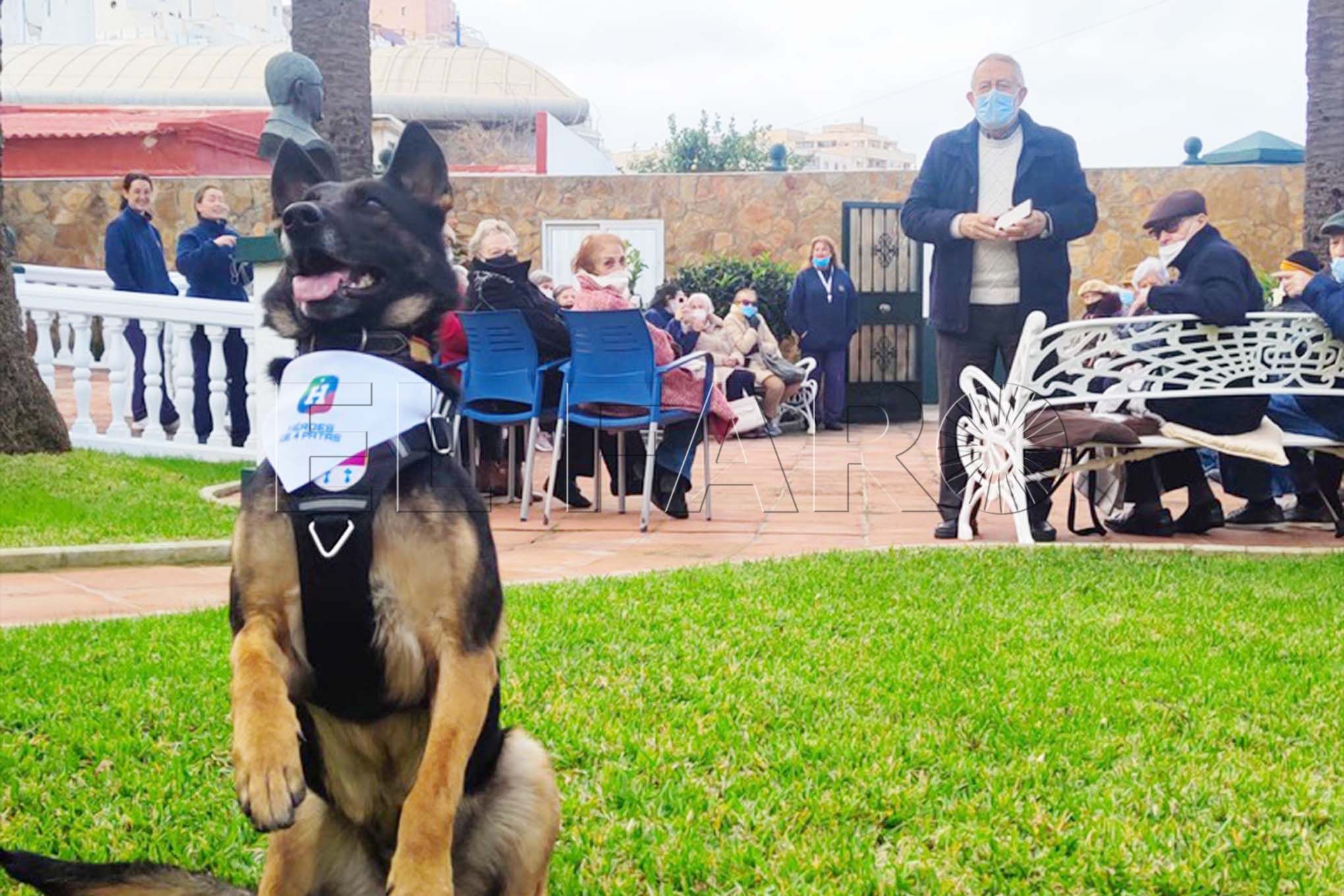 unidad-canina-Fundación-Gallardo-perro-policía-007-portada