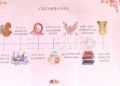 exposicion-ugt-mujeres-historia-004