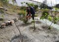 huerto-frutal-sidi-embarek-003