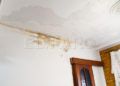 humedades-casa-familia-rosales-001