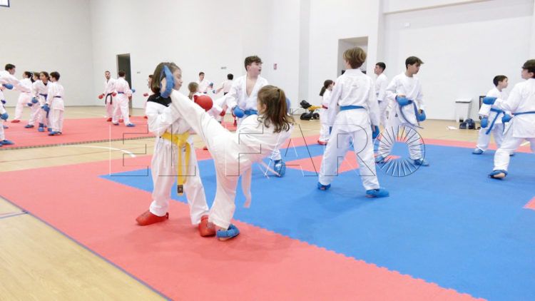 karate-diaz-flor-005