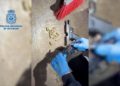 armas-hachis-operacion-dogoliver-policia-nacional-010