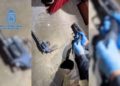 armas-hachis-operacion-dogoliver-policia-nacional-013