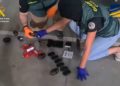 operacion-castle-hachis-marruecos-5