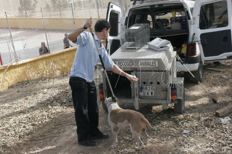 recogida-animales-001