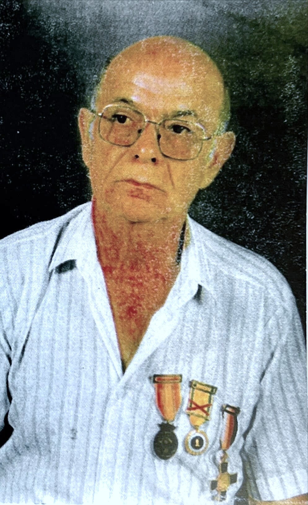 soldado-pelayo-rosa-viera