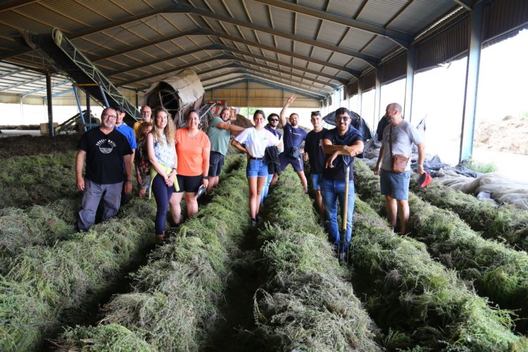 alumnos-clara-campoamor-taller-plantas-aromaticas-5