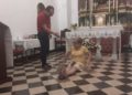 jornadas-organizacion-festival-sete-sois-sete-luas-9