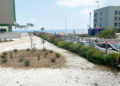 317-vpo-loma-colmenar-parque-victimas-covid-1