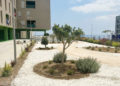 317-vpo-loma-colmenar-parque-victimas-covid-2