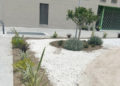 317-vpo-loma-colmenar-parque-victimas-covid-3