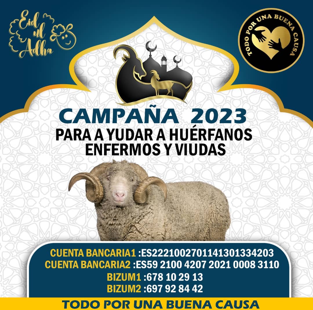 asociacion-todo-buena-causa-solidaridad-pascua-cordero