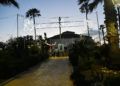 encendido-alumbrado-san-antonio-2023-4