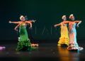 escuela-danza-alegro-teatro-revellin-126