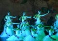 escuela-danza-rosa-founaud-espectaculo-efimero-eterno-101