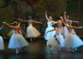 escuela-danza-rosa-founaud-espectaculo-efimero-eterno-102