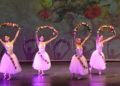 escuela-danza-rosa-founaud-espectaculo-efimero-eterno-110