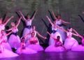 escuela-danza-rosa-founaud-espectaculo-efimero-eterno-160
