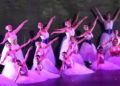 escuela-danza-rosa-founaud-espectaculo-efimero-eterno-161