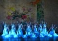 escuela-danza-rosa-founaud-espectaculo-efimero-eterno-99
