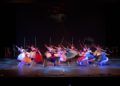 espectaculo-encanto-escuela-danza-rosa-founaud-28
