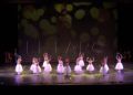 espectaculo-encanto-escuela-danza-rosa-founaud-29