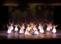 espectaculo-encanto-escuela-danza-rosa-founaud-31