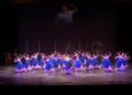 espectaculo-encanto-escuela-danza-rosa-founaud-36