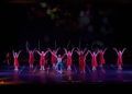 espectaculo-encanto-escuela-danza-rosa-founaud-37