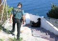 guardia-civil-inmigrantes-phantom-sarchal-2