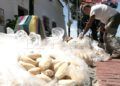 romeria-san-antonio-preparativos-011