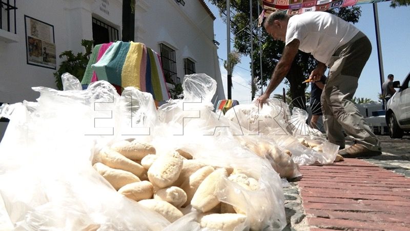 romeria-san-antonio-preparativos-011