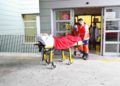 samir-madre-saadia-hospital-3