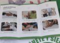 stand-apascide-sordoceguera-4