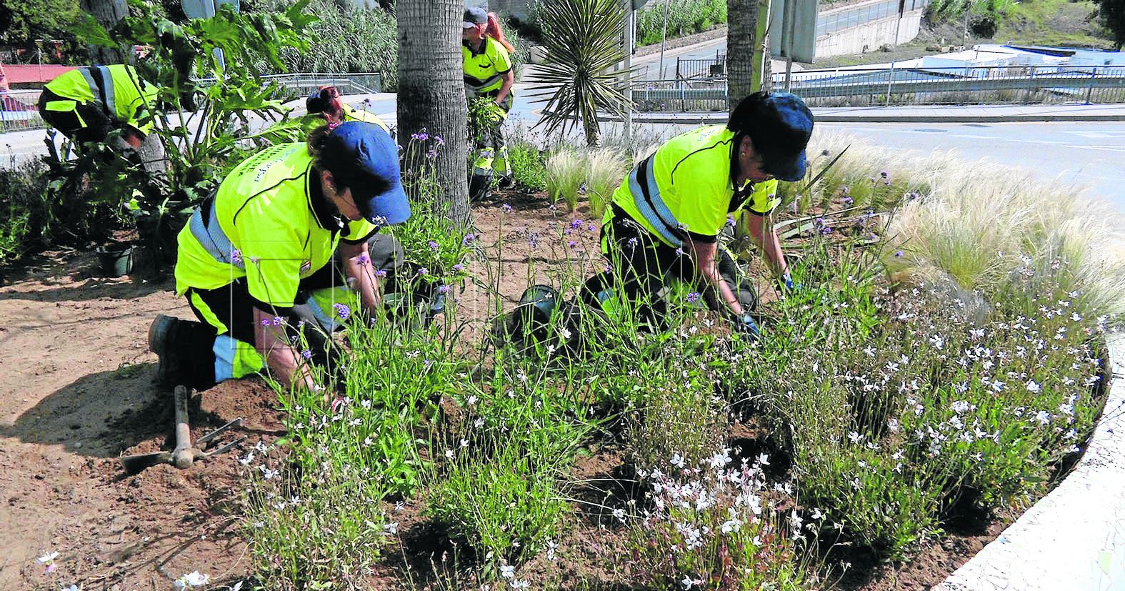 trabajadoras-tragsa-medio-ambiente
